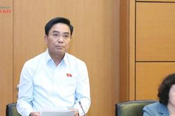 Ph&oacute; Chủ tịch Quốc hội Nguyễn Do&atilde;n Anh: Nghi&ecirc;m cấm mọi h&agrave;nh vi m&ocirc;i giới nhận con nu&ocirc;i tr&aacute;i ph&aacute;p luật