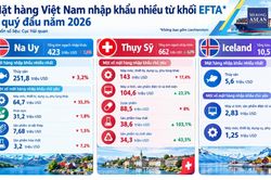 Việt Nam đang xuất nhập khẩu mặt h&agrave;ng n&agrave;o với c&aacute;c nước khối EFTA