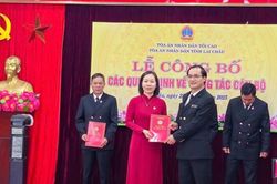 Thẩm phán Dương Thị Tuyết Thanh kiên trì tháo gỡ án dân sự tồn đọng