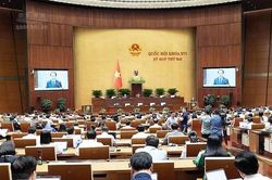T&igrave;m gia đ&igrave;nh ph&ugrave; hợp cho trẻ, hạn chế kẽ hở trong nhận con nu&ocirc;i