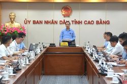 Đổi mới phương thức làm việc, nâng cao chất lượng tham mưu, phục vụ chỉ đạo, điều hành của UBND tỉnh