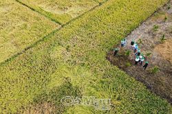 Khai th&aacute;c lợi thế n&ocirc;ng nghiệp, ph&aacute;t triển sản phẩm gi&aacute; trị cao