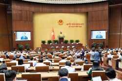 Siết chế t&agrave;i, ngăn 'bỏ cọc', trục lợi trong đấu gi&aacute; t&agrave;i sản