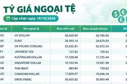 Tỷ giá ngoại tệ ngày 19/10: Cập nhật giá USD, EUR, GBP và JPY