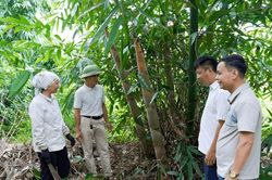L&agrave;o Cai: N&acirc;ng cao chất lượng để n&ocirc;ng sản vươn xa