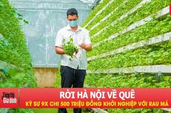 Rời H&agrave; Nội về qu&ecirc;, kỹ sư 9X chi 500 triệu đồng khởi nghiệp với rau m&aacute;
