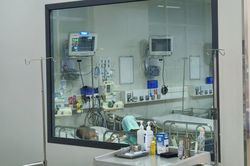 Ch&ugrave;m ca n&atilde;o m&ocirc; cầu ở TP.HCM được kiểm so&aacute;t, 3 bệnh nh&acirc;n sức khoẻ ổn định