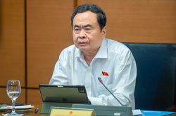 'Cần chế t&agrave;i mạnh ngăn bỏ cọc, th&ocirc;ng đồng, d&igrave;m gi&aacute; khi đấu gi&aacute; t&agrave;i sản'