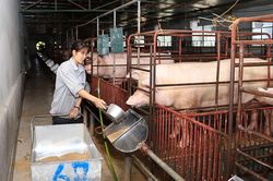 Ng&agrave;nh N&ocirc;ng nghiệp tăng tốc chặng nước r&uacute;t cuối năm