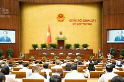 Đề xuất rút gọn quy trình trở thành luật sư xuống 2 bước