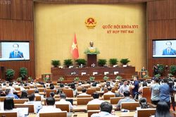 Đề xuất siết điều kiện nhận con nu&ocirc;i, ngăn chặn t&igrave;nh trạng m&ocirc;i giới trục lợi