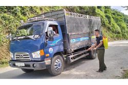 Giấu dịch, b&aacute;n chạy lợn bệnh sẽ bị xử l&yacute; nghi&ecirc;m