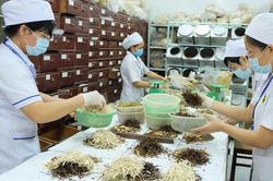 Chiến lược phát triển y học cổ truyền: Hướng tới chăm sóc sức khỏe toàn diện