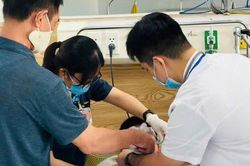 H&agrave; Nội: BVĐK Thường T&iacute;n tiếp nhận 42 trường hợp nghi ngộ độc kh&iacute; clo
