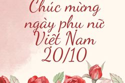 Những lời ch&uacute;c ng&agrave;y Phụ nữ Việt Nam 20/10 hay v&agrave; &yacute; nghĩa nhất 2026