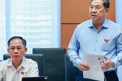 Ph&oacute; Thủ tướng Thường trực Phạm Gia T&uacute;c: Ch&uacute; trọng thực thi c&aacute;c cam kết quốc tế