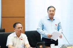Biến c&aacute;c cam kết quốc tế th&agrave;nh nguồn lực thực chất cho ph&aacute;t triển đất nước