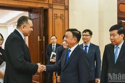Thường trực Ban B&iacute; thư Trần Cẩm T&uacute; tiếp đo&agrave;n c&ocirc;ng t&aacute;c Cục C&ocirc;ng vụ Singapore