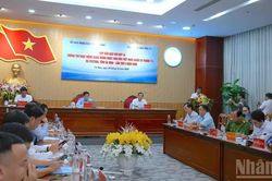 C&agrave; Mau c&ocirc;ng bố chuỗi sự kiện văn h&oacute;a, kinh tế trong cao điểm th&aacute;ng 11/2026