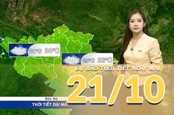 [Video] Dự b&aacute;o thời tiết đ&ecirc;m nay v&agrave; ng&agrave;y mai 21/10/2026: Bắc Bộ mưa v&agrave;i nơi, Trung Bộ v&agrave; Nam Bộ chiều tối c&oacute; d&ocirc;ng