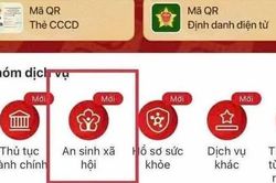 Từ năm 2027, chi trả trợ cấp bảo hiểm x&atilde; hội, bảo hiểm thất nghiệp qua VNeID
