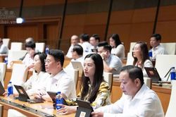 Ng&agrave;y 20/10, Quốc hội thảo luận nhiều dự &aacute;n luật thuộc lĩnh vực tư ph&aacute;p, kinh tế