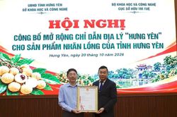 Mở rộng chỉ dẫn địa l&yacute; cho nh&atilde;n lồng Hưng Y&ecirc;n