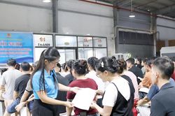 Tư vấn việc l&agrave;m gi&uacute;p người lao động tho&aacute;t ngh&egrave;o bền vững