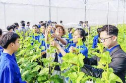 Thủ tướng chỉ đạo các địa phương: Chủ động 'đặt hàng' thanh niên và trí thức trẻ giải quyết bài toán phát triển