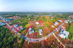 Vĩnh Long: Th&aacute;o gỡ 'n&uacute;t thắt' m&atilde; số v&ugrave;ng trồng v&agrave; xuất khẩu n&ocirc;ng sản