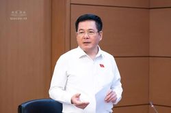 Sửa Luật Điện lực: Phải kiểm so&aacute;t chặt c&aacute;c cơ chế đặc th&ugrave;