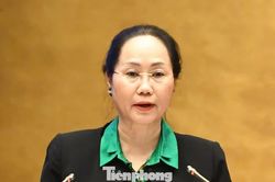 Sửa Luật Điện ảnh, đề xuất chặn truy cập, gỡ phim vi phạm tr&ecirc;n mạng