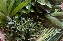 Mắc c&uacute;m A c&oacute; n&ecirc;n x&ocirc;ng l&aacute;, cố đổ mồ h&ocirc;i để nhanh khỏi bệnh?