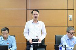 ĐBQH tỉnh Nghệ An đề nghị kiểm so&aacute;t chặt xuất xứ h&agrave;ng h&oacute;a, bảo đảm an ninh năng lượng