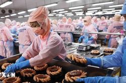 Hiệp định VEFTA mở cơ hội n&acirc;ng tầm thủy sản Việt Nam tại thị trường cao cấp
