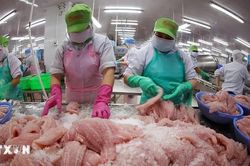 Việt Nam-Bỉ mở rộng hợp t&aacute;c, khai th&aacute;c dư địa thương mại v&agrave; đầu tư