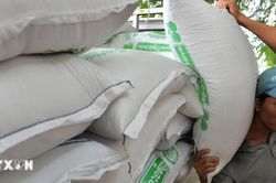 Campuchia lần đầu đạt mốc xuất khẩu 1 triệu tấn gạo