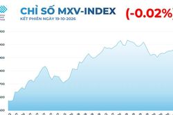Lực b&aacute;n &aacute;p đảo tr&ecirc;n thị trường n&ocirc;ng sản k&eacute;o MXV-Index rơi xuống 2.938 điểm