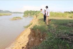 Quảng Ng&atilde;i khẩn trương kiểm tra t&igrave;nh trạng sạt lở bờ s&ocirc;ng Tr&agrave; Kh&uacute;c