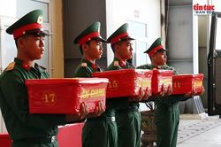Qu&acirc;n khu 9 chuẩn bị đưa 8.453 mẫu sinh phẩm liệt sĩ ra H&agrave; Nội
