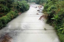 Cần sớm t&igrave;m ra nguy&ecirc;n nh&acirc;n khiến nước s&ocirc;ng Cầu đổi m&agrave;u bất thường