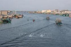 Chuyển hồ sơ vụ việc ở C&agrave; Mau đến Bộ C&ocirc;ng an