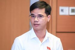 ĐBQH: Cải c&aacute;ch gi&aacute; điện gắn với bảo đảm khả năng chi trả của người d&acirc;n