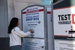 Cử tri Mỹ bắt đầu bỏ phiếu sớm