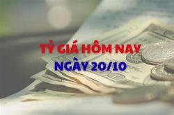 Tỷ gi&aacute; h&ocirc;m nay 20/10: Gi&aacute; USD v&agrave; NDT điều chỉnh nhẹ