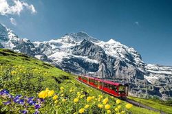 Bỏ 42 triệu đồng trekking Thụy Sĩ, nam du kh&aacute;ch kh&aacute;m ph&aacute; những cung đường đẹp như tranh