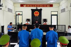 G&oacute;p tiền mua ma t&uacute;y sử dụng, 3 bị c&aacute;o lĩnh 25 năm t&ugrave;