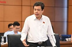 Đại biểu Quốc hội: Trao quyền k&yacute; thỏa thuận quốc tế cho cấp x&atilde; phải đi k&egrave;m tr&aacute;ch nhiệm