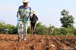 Ur&ecirc; nhập khẩu đa mục đ&iacute;ch: Cần thống nhất ti&ecirc;u ch&iacute; quản l&yacute;
