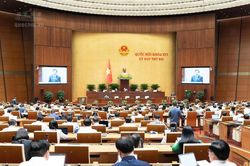 Ng&agrave;y 21/10, Quốc hội thảo luận về nh&oacute;m dự &aacute;n luật lĩnh vực y tế